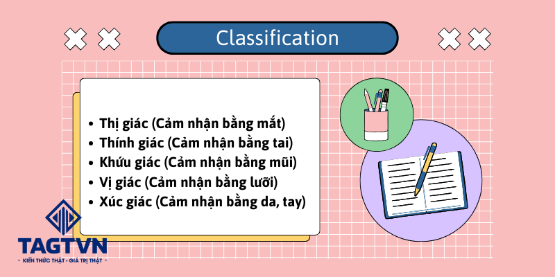 Phân loại những động từ nhận thức.