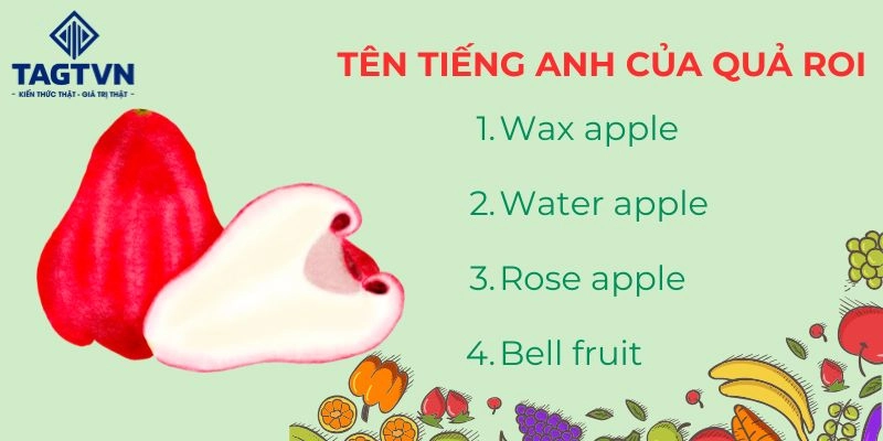 Quả roi tiếng anh là gì? có những cách gọi nào khác?