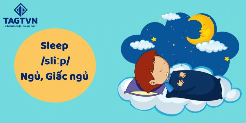 Sleep là gì? Có phải vừa là danh từ, vừa là động từ?
