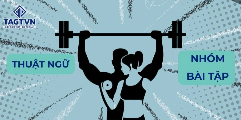 Các nhóm từ vựng về thể dục và thể hình trong tiếng Anh.