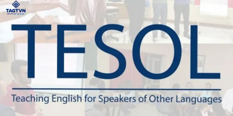 TESOL là gì? Có phải chứng chỉ và hệ thống đào tạo sư phạm?